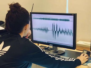 十一蛋糕店叫賣錄音廣告語(yǔ)音制作指南